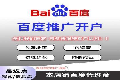 百度竞价排名服务：实战案例解析与优化技巧